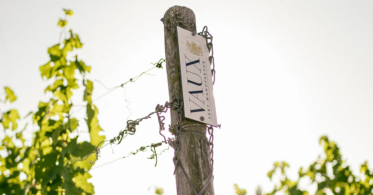 Sektmanufaktur Schloss Vaux Impressionen | Wein Compagny
