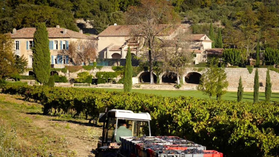 Champagne Taittinger im Sortiment der Wein Compagny